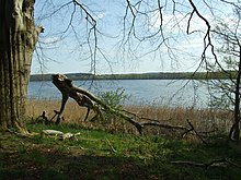 Wolletzsee