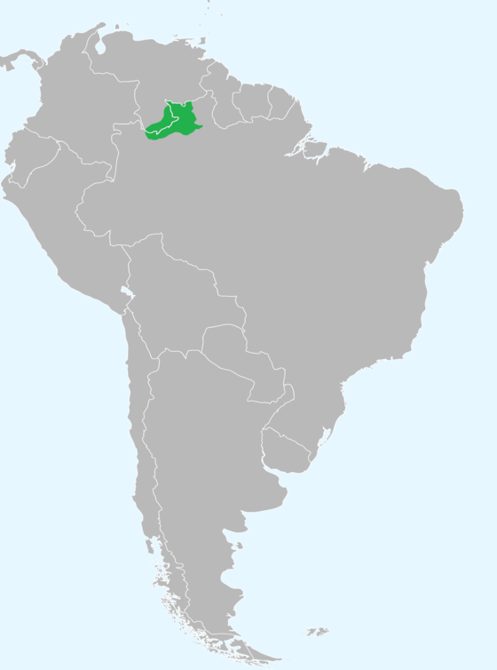 Distribution of the Yanomaman languages in South America