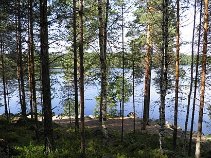 Kuinka päästä määränpäähän Ylinen Niemisjärvi käyttäen julkista liikennettä - Lisätietoa paikasta