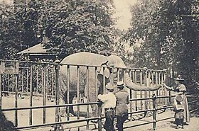 Illustrasjonsbilde av Hamburg Zoo-delen