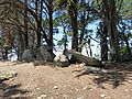 Île-d'Arz-Megalithic site of Pen Liouse (4) .jpg