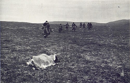 Рис. 10. Женские бега на празднике второго осеннего убоя оленей. (Фот. МАЭ, И-1454-524).