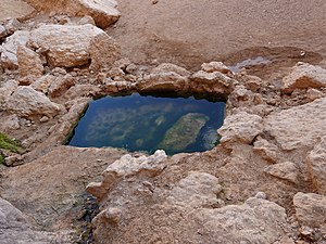 עין נטפים: המעיין, היסטוריה, גלריה