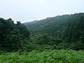 西三川には山の神の神域として禁足地だった奥山も残る