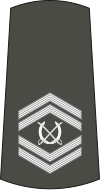 07-Ejército serbio-WO2.svg