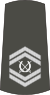 07-Serbian Army-WO2.svg