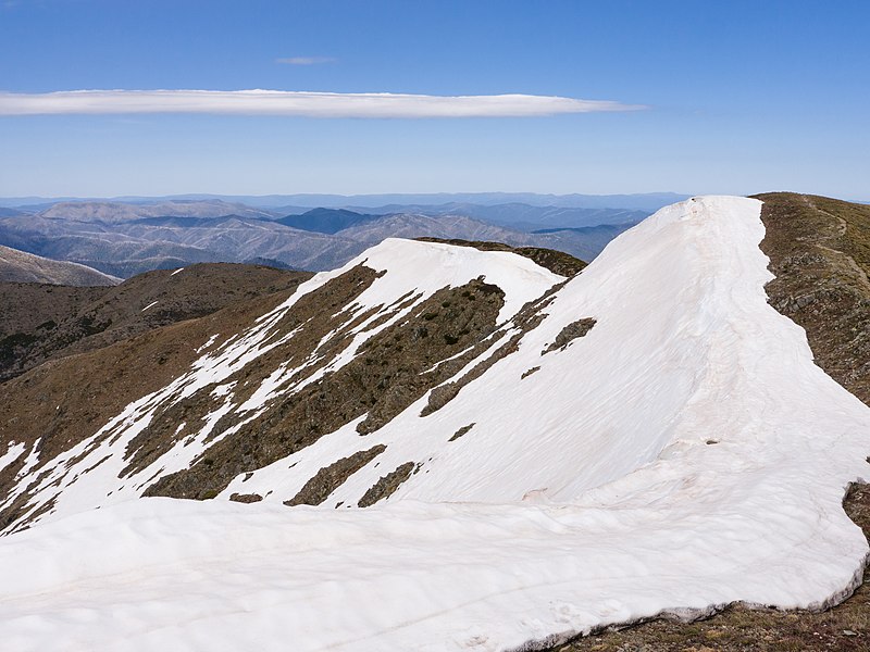 File:141012-012 Summit of Mt Feathertop.jpg