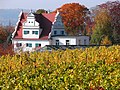 Weinberg Unterberg am Bennoschlösschen