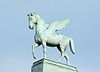 Pegasus.JPG 2008-09