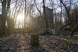 Een meerpaal tussen de bomen, het silhouet van een gebouw verschijnt op de achtergrond.