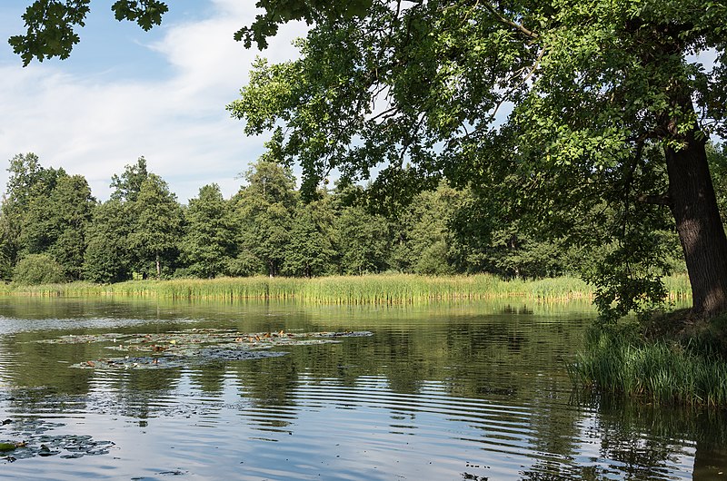 File:2016 Staw Kąpielnik w Bukowcu 02.jpg