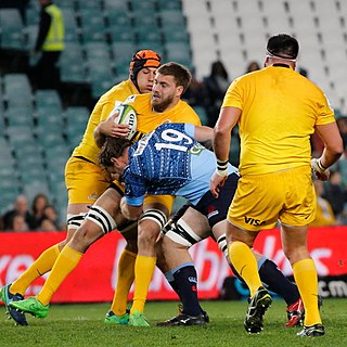 <span class="mw-page-title-main">Rodrigo Báez (rugby union)</span> Argentine rugby union footballer