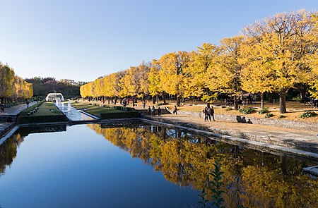 Tachikawa, Tokyo