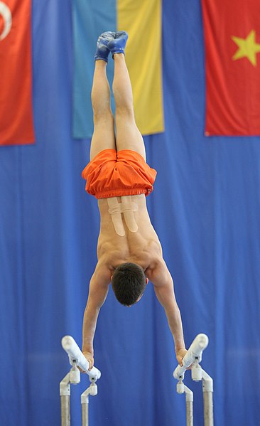 File:2019-05-24 Budapest Cup training parallel bars (Martin Rulsch) 126.jpg