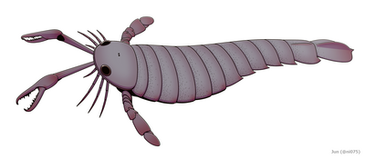 Pterygotus was a giant eurypterid that had a nearly cosmopolitan distribution