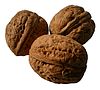 Walnut inggris