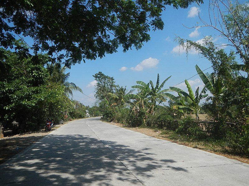 File:4183Poblacion Bocboc Aguilar San Carlos Pangasinan 14.jpg