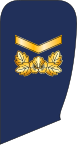 5.SKAF-SSG.svg