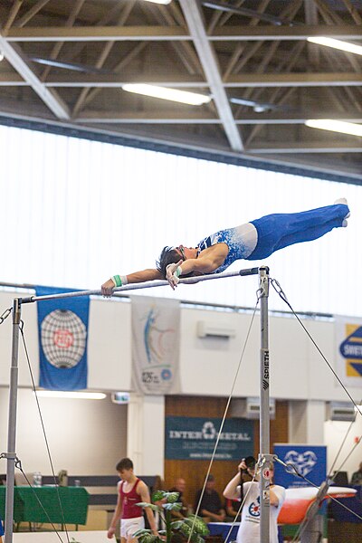 File:5th Budapest Cup 2019-05-26 Eyal Zvi Indig (Norman Seibert) - 04084.jpg