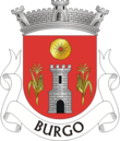Vlag van Burgo