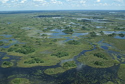 A View of the Delta.jpg