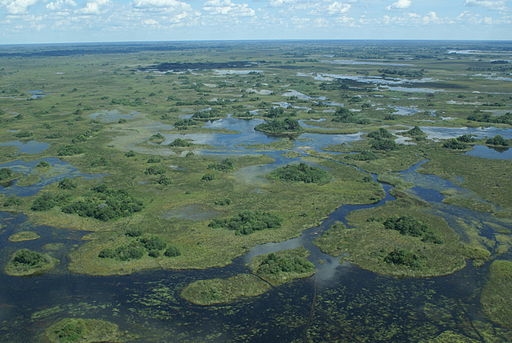 A View of the Delta