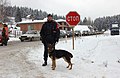 A member of the Italian Larma dei Carabinieri (The Carabinieri Corps) stands watch with his German Shepherd while patrols check the entrance to the city of Pale, Bosnia. Pale was a - DPLA - 739a36d47941f952cb65ca631e11d25a.jpeg