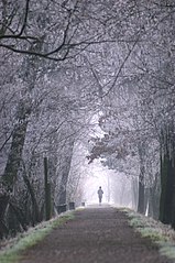 Jogging auf dem Rheindamm Hohenems