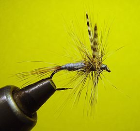 A dry fly