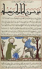 Аль-Шар аль-бакия Хан аль-Курун аль-Салия Folio 230.jpg 