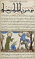 Al-Āṯār al-bāqiya ʿan al-qurūn al-ẖāliya Folio 230.jpg