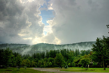 Allegany State Park