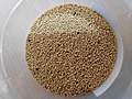 Amaranth Grain.jpg