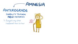 Fil:Amnesia.webm