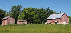 אנדרו פיטרסון Farmstead קיץ.jpg