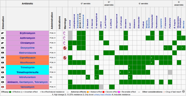 Antibiotic Chart