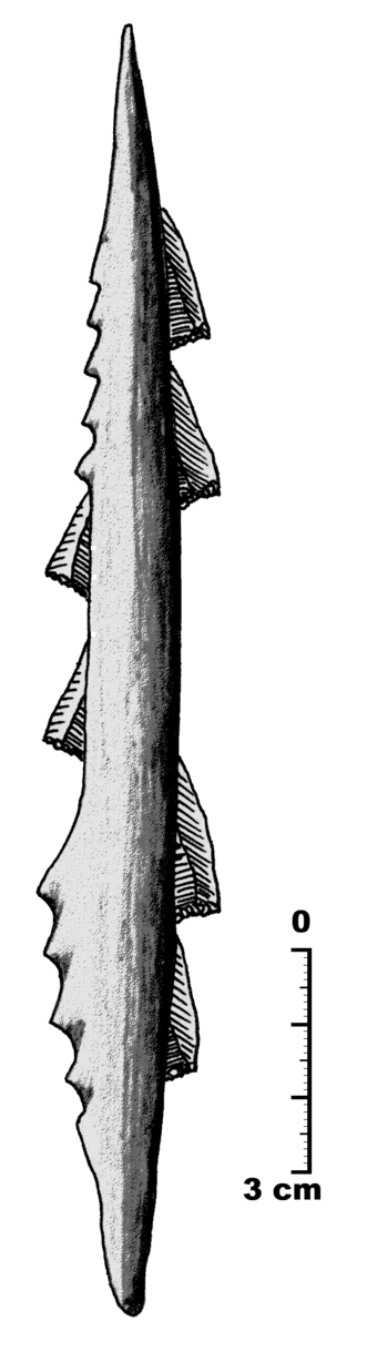 Bone harpoon studded with microliths, a Mode 5 composite hunting implement.
