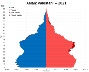 Asian/Asian British: Pakistani