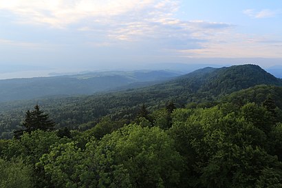 So kommt man zu Sihlwald mit den Öffentlichen - Mehr zum Ort Hier