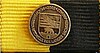 Bandschnalle Hochwasser-Medaille des Landes Sachsen-Anhalt.jpg