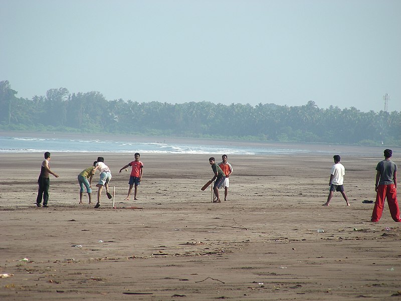 File:Beach cricket (2810747884).jpg