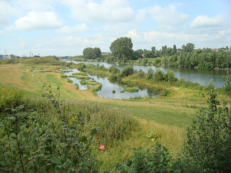 File:Berges Escaut lagunées 2011 juillet a.jpg