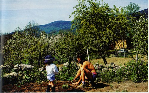 Rideau métallique Chabreloche (63250)