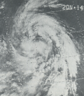 Typhoon Bess (1974) Pacific typhoon in 1974