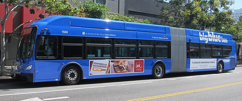 File:Big Blue Bus 1560.JPG