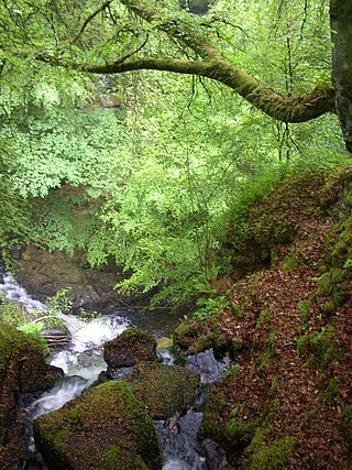 <span class="mw-page-title-main">The Birks of Aberfeldy</span>