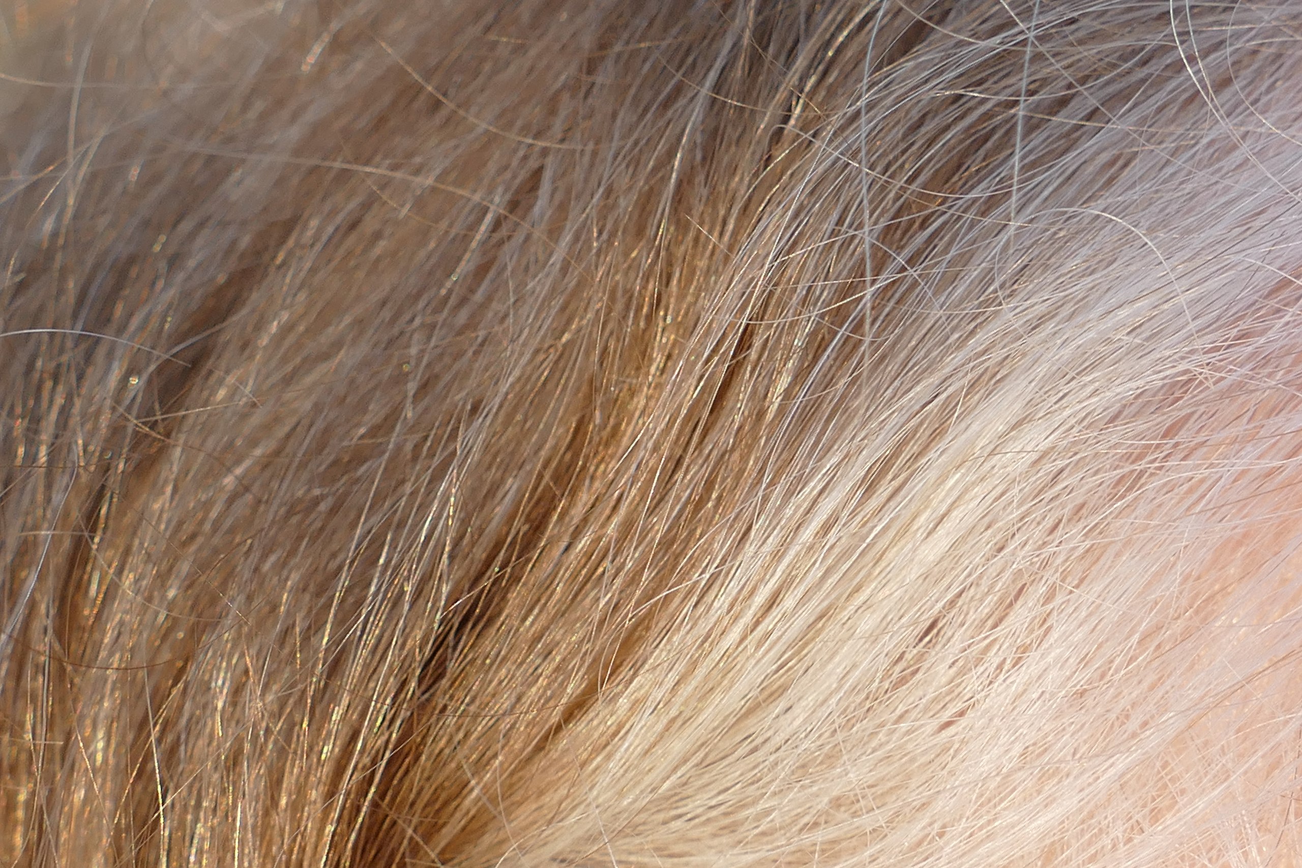 File:Blond hair going gray 02.jpg - Wikimedia Commons