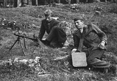 Partizanski borci Ljubljanske brigade, 1944