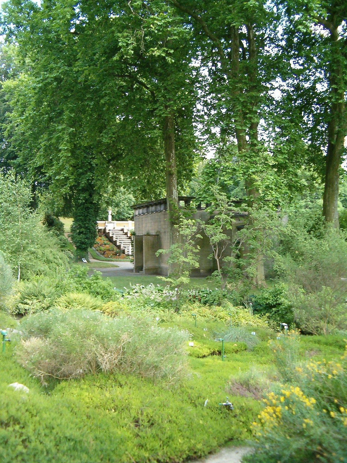 Jardin Botanico De Potsdam Wikipedia La Enciclopedia Libre