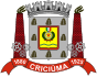 Criciúma: Etimología, Historia, Deportes